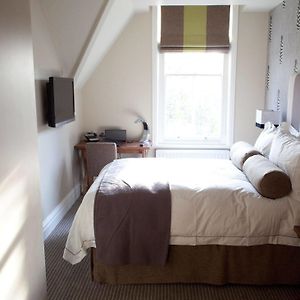 Habitación Doble Cosy